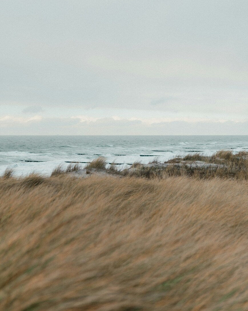 Svensk västkust i blåsigt väder